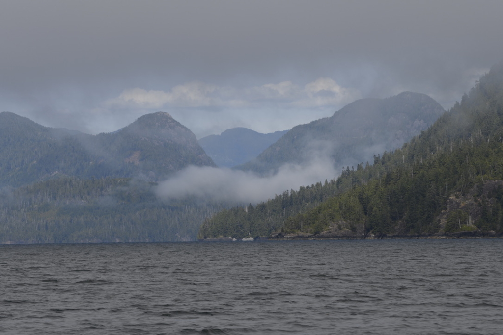 Kyuquot Channel, Kyuquot Sound