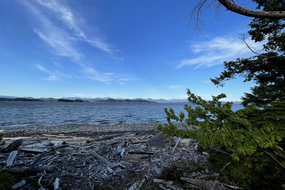 Mountain Range View, Rebecca Spit