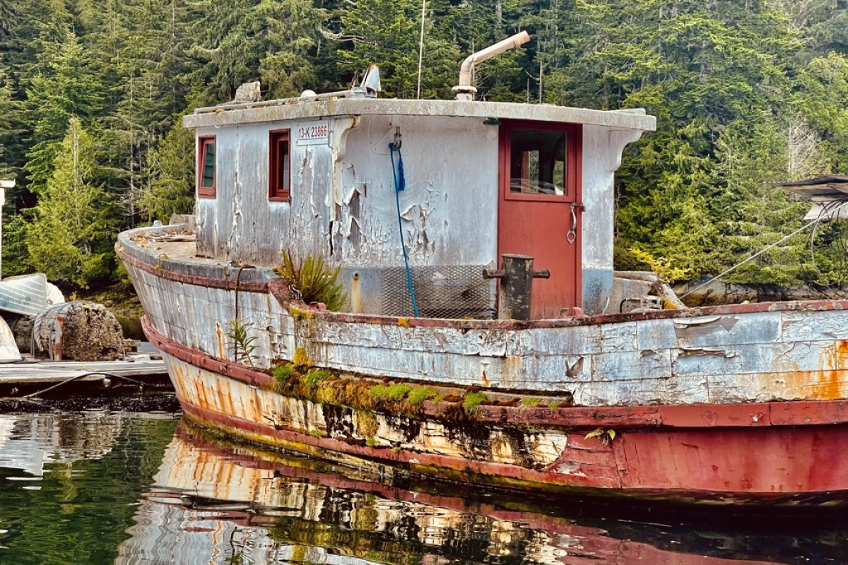 Derelict Vessel, Lagoon Cove